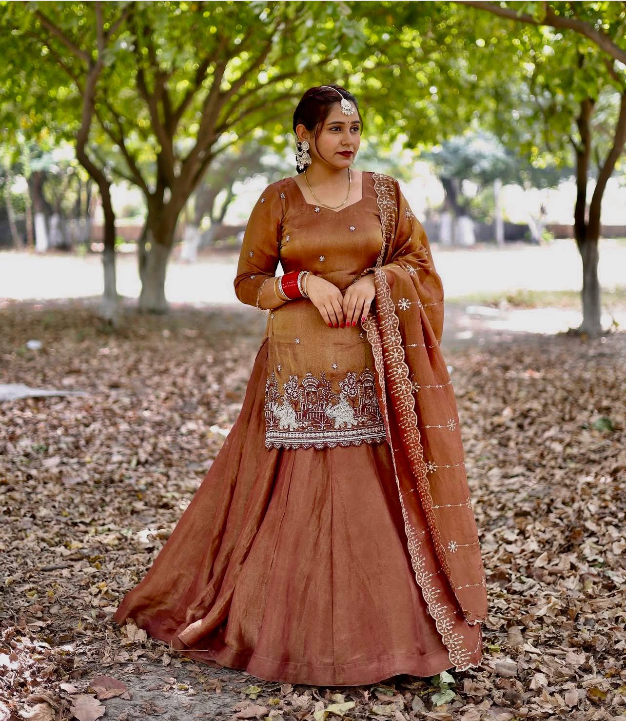 Traditional Brown Anarkali Suit with Embroidered Dupatta | Festive Collection