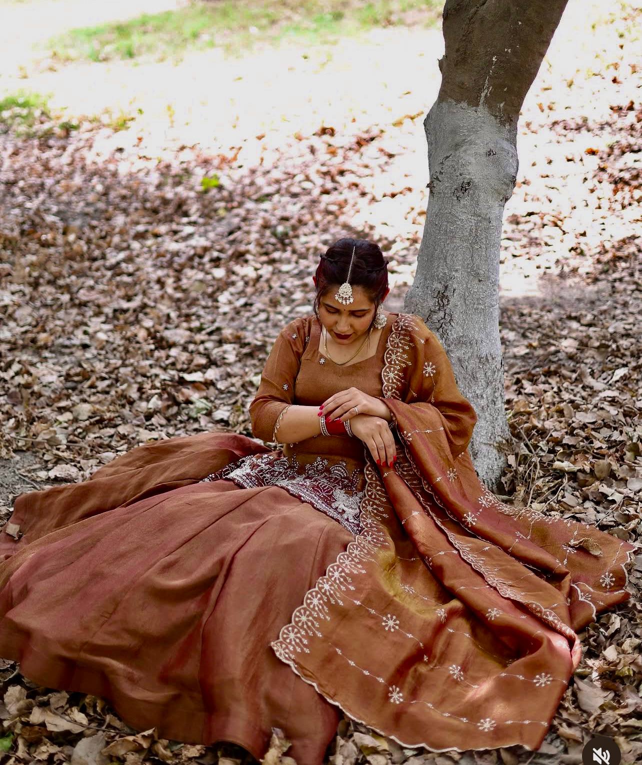 Traditional Brown Anarkali Suit with Embroidered Dupatta | Festive Collection