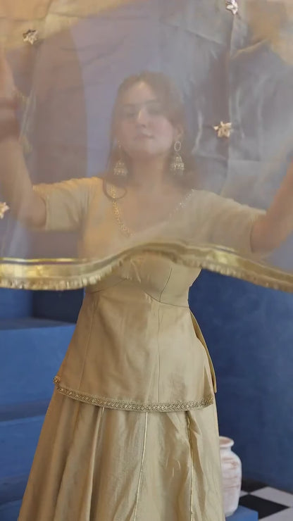 Luxurious Silk Lehenga Choli for Festivities
