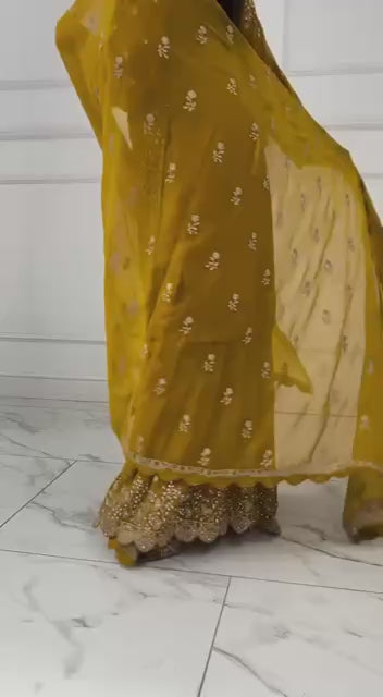 Trendy Designer Embroidery Sharara Suit Set (6 Color Variants Available)